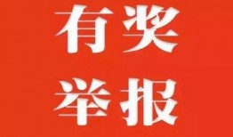 辽宁新闻爆料有奖励,见证者有奖，共赏新闻力量